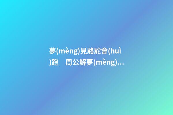 夢(mèng)見駱駝會(huì)跑　周公解夢(mèng)之夢(mèng)到駱駝會(huì)跑